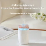 Salt Crystal Humidifier with Colorful Night Light – WT19