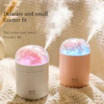 WT18 Eternal Flower Humidifier in White and Pink